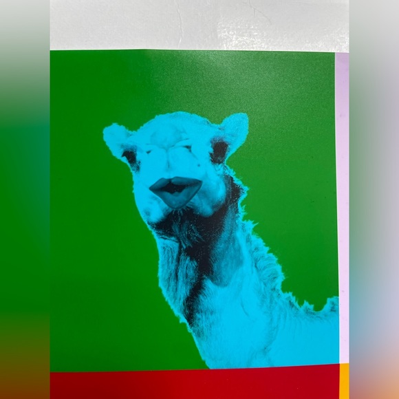 Colourful Camel 🐪 Print - Picture 6 of 9